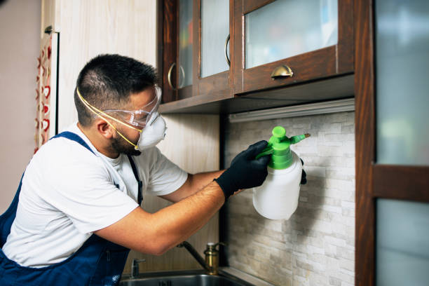 Best Affordable Pest Control Services  in Alto, TX
