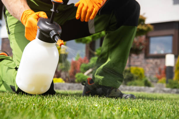 Insect Control in Alto, TX