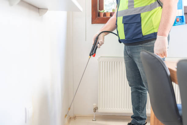 Wasp Removal Services in Alto, TX