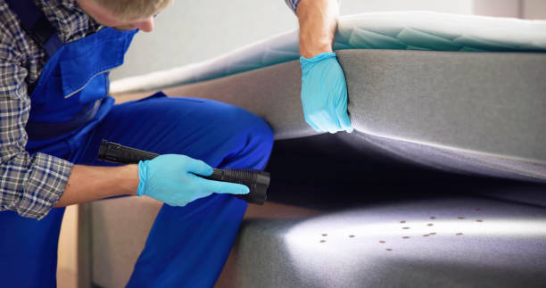 Best Flea Control Services  in Alto, TX
