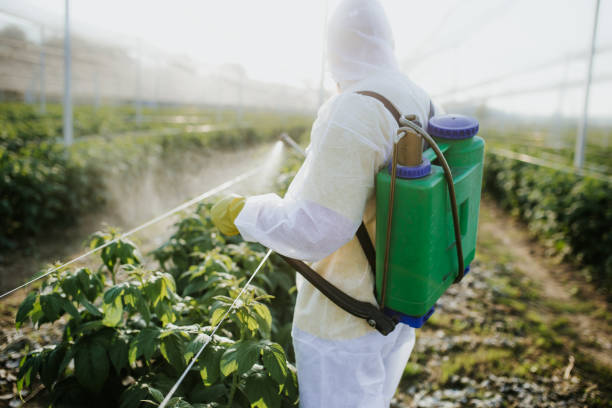 Reliable Alto, TX Pest Control Solutions